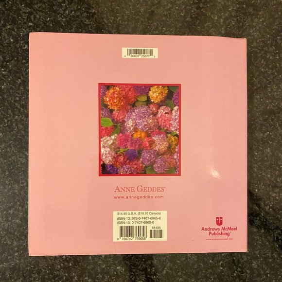 Anne Geddes My Pregnancy Journal - Picture 2 of 7